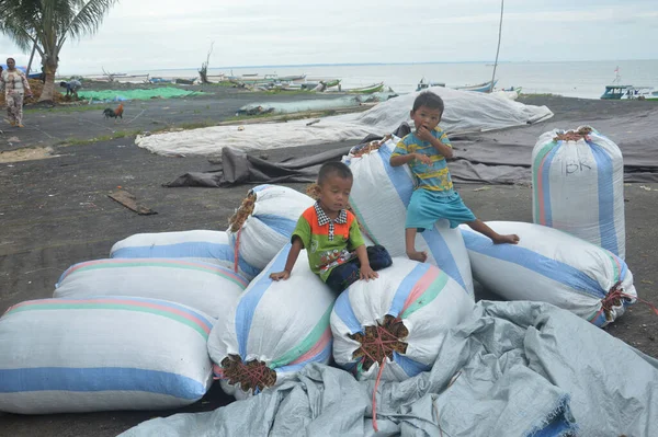 Tarakan Indonésia Agosto 2017 Atividades Dos Agricultores Algas Marinhas Praia — Fotografia de Stock