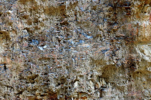 Textur Der Kohlehaltigen Bodenschicht — Stockfoto