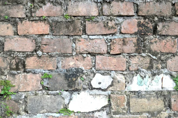 Eski Tuğla Duvarlarda Ayrıntılı Doku Desen — Stok fotoğraf
