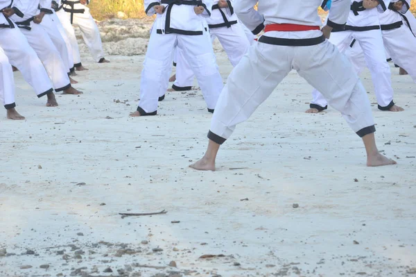 Martial arts training, with the training of participants in white martial arts with red and black belts