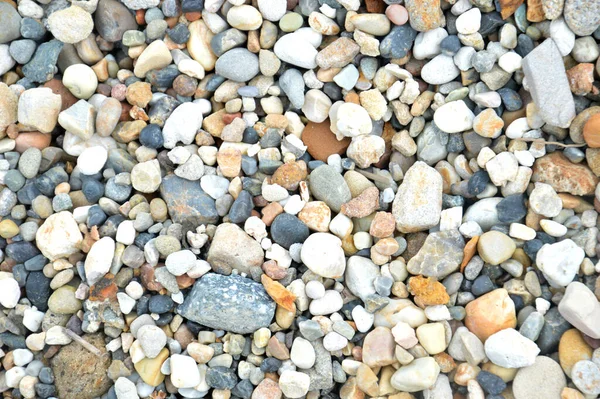 Yerdeki Çakıl Taşlarının Detaylı Dokusu — Stok fotoğraf