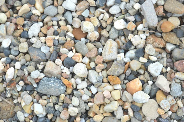 Detailed texture of gravel stones on ground