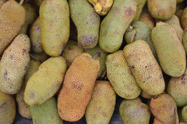 Cempedak Een Excotisch Fruit Dat Vooral Indonesië Maleisië Wordt Gevonden — Stockfoto