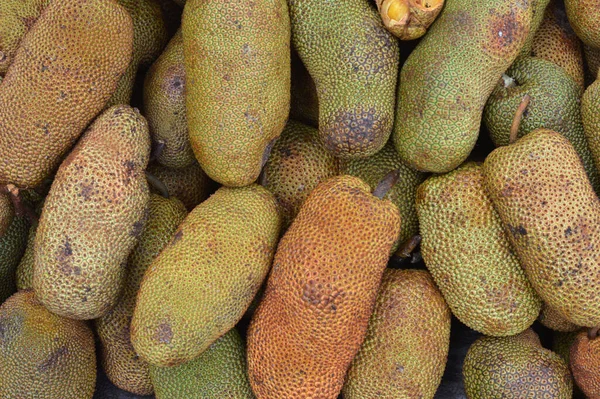 Cempedak Een Excotisch Fruit Dat Vooral Indonesië Maleisië Wordt Gevonden — Stockfoto