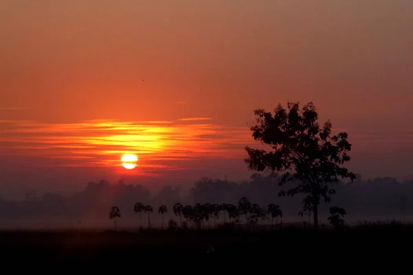 Magnifique Coucher Soleil Panoramique Campagne Avec Des Silhouettes Arbres — Photo