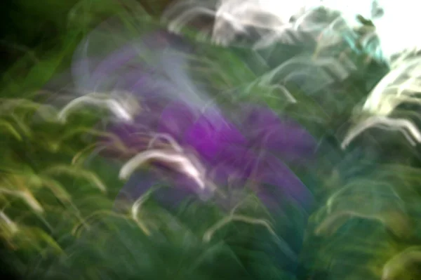 Abstrato Desfocado Flor Fundo Usando Zoom Panning Técnicas — Fotografia de Stock