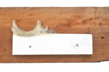 Kırlangıcın yuvası, kırlangıcın tükürüğünden yapılma tahta duvarda yapışkan, stüdyo çekimi ve beyaz arka planda izole edilmiş.