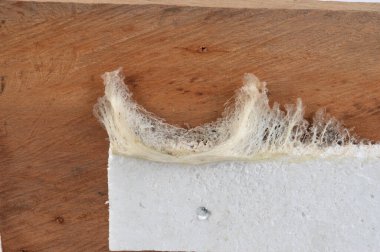 Kırlangıcın yuvası, kırlangıcın tükürüğünden yapılma tahta duvarda yapışkan, stüdyo çekimi ve beyaz arka planda izole edilmiş.