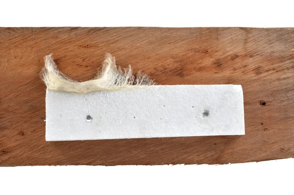 Swallow Nest Made Swallow Saliva Cork Sticky Wooden Plank Wall — Stock Photo, Image