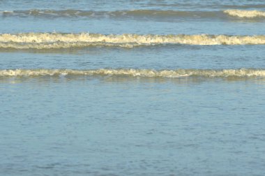 Sahildeki gelgit akıntıları.