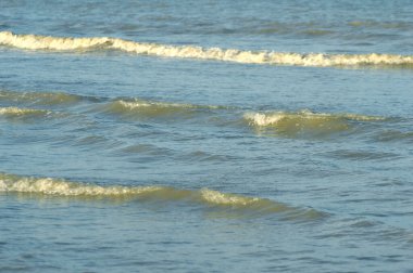 Sahildeki gelgit akıntıları.