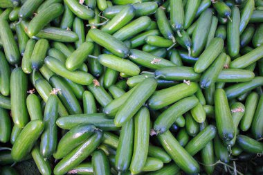 Salatalık üstünde belgili tanımlık sayaç