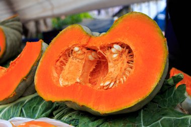 champignon üstünde belgili tanımlık sayaç