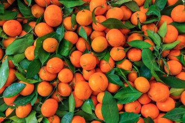 mandalina üstünde belgili tanımlık sayaç