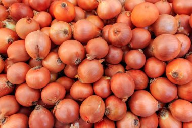 soğan üstünde belgili tanımlık sayaç