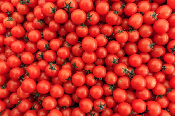 Tomaten auf dem Tresen — Stockfoto
