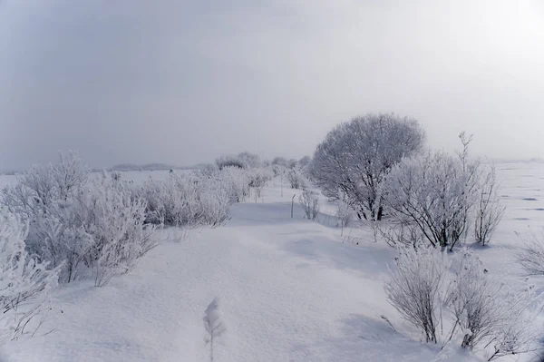 Grå vinter vägen full av snö — Stockfoto