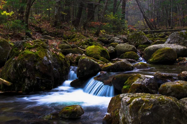 Kleine waterval in het donkere bos — Stockfoto