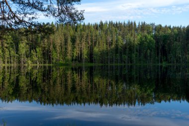 Mavi gökyüzü ve dökmeyen orman yansıması ile güzel göl