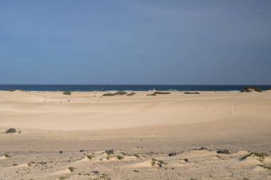 Kum tepeleri üzerinde Atlantik Okyanusu adalarda deniz kıyısı