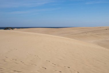 Kum tepeleri üzerinde Atlantik Okyanusu adalarda deniz kıyısı