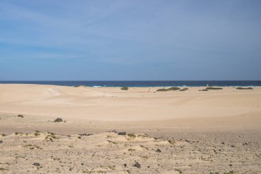 Kum tepeleri üzerinde Atlantik Okyanusu adalarda deniz kıyısı