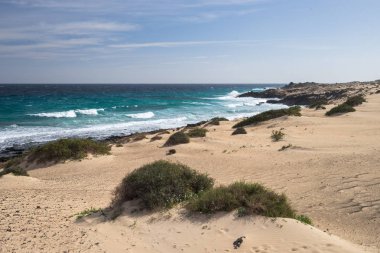 Deniz kıyısı üzerinde sarı kum ve siyah taşlar