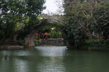 Göl ile tropik orman