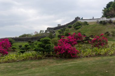 Güzel park parlak çiçekler tam