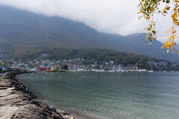 Naranjos en la orilla del lago a principios de otoño — Foto de Stock