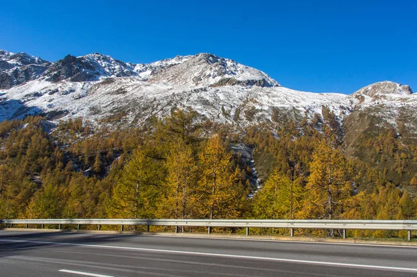 Sarı ağaçlar ve kar dağ zirveleri erken sonbaharda dolu — Stok fotoğraf
