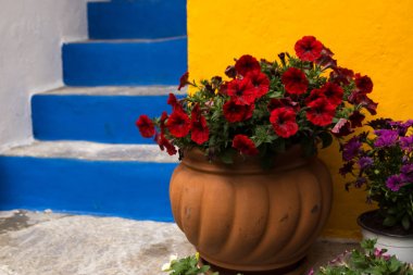 Küçük adada Symi parlak mavi merdiven 