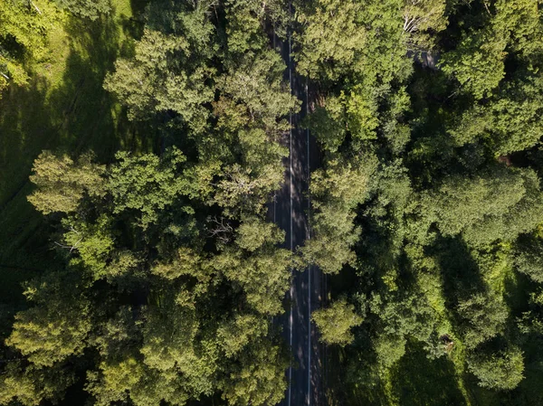 Parkta ağaçlar için havadan görünümü