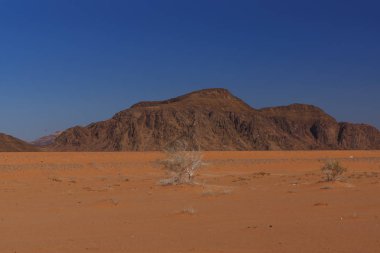 Kızıl Kum Çölü Jordan '