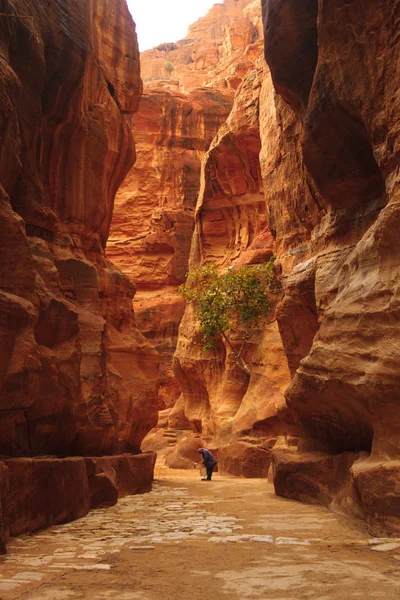 Red canyon Siq — Stockfoto