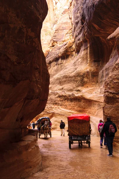 El carruaje en el cañón rojo Siq en Petra —  Fotos de Stock