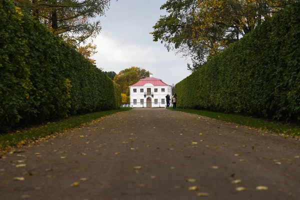 ünlü parkta Peterhof Sankt Petersburg, Rusya