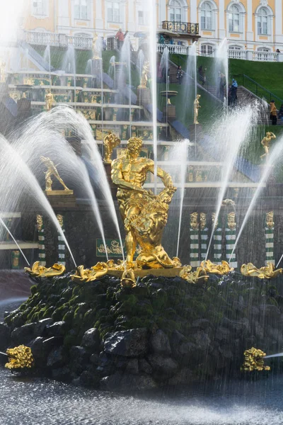 Orta çeşme Samson ünlü parkta Peterhof