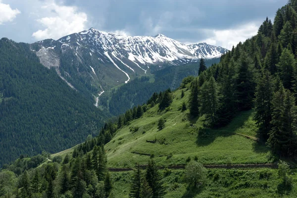 Hermoso Valle Verde Con Picos Cubiertos Nieve Los Alpes Suizos — Foto de Stock