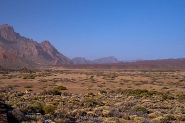 Volkanik lav ve kumtaşı çim ile güzel görünüme Teide yanardağı üzerinde
