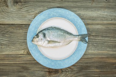 Taze Eşkine plaka üzerinde