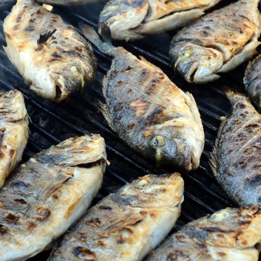 Izgarada çipuralı balık