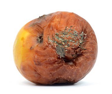 Çürük elma beyaz arkaplanda izole