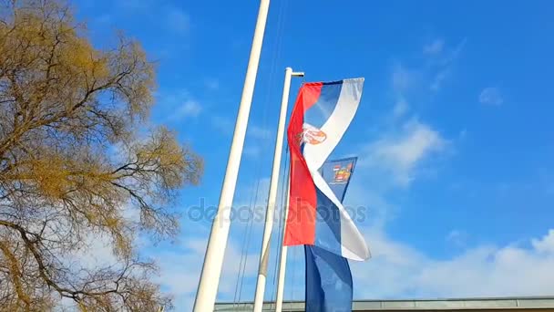 Ağır çekimde Sırp bayrağı — Stok video
