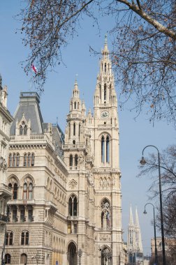 Viyana şehir, Avusturya - 21.03.2013. : Rathaus Viyana'da, Avrupa'da bir güneşli bahar günü bina cephe 