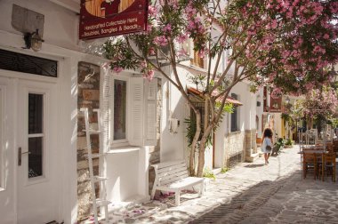 Skiathos kasabası, Skiathos Adası, Yunanistan - 05: 05 21 2013: Zakkum ağacı ve Yunanistan 'daki Skiathos Adası Skiathos kasabasında dükkanları olan cadde