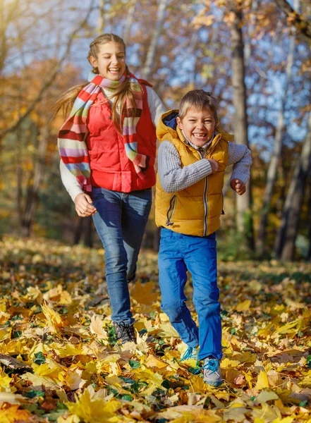 Kids having fun in autumn park — Stock Photo, Image