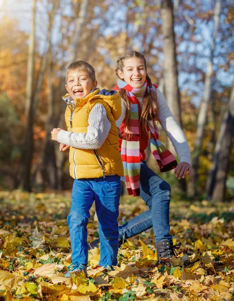 Děti baví na podzim park — Stock fotografie