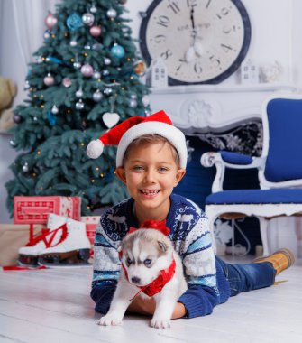 Husky kukla ile oturan küçük yakışıklı çocuk