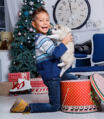 Husky kukla ile oturan küçük yakışıklı çocuk